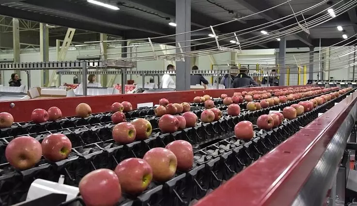 Иллюстрация 1 для статьи «Новые и модернизированные предприятия агропрома: В Славянском районе Краснодарского края открыли фруктохранилище на 10 5 тысячи тонн»