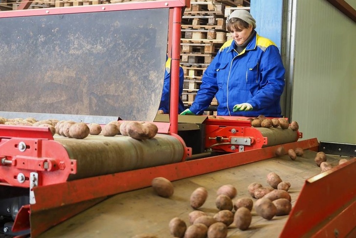 В Ставропольском крае открыто овощехранилище с мощностями первичной переработки сельхозпродукции