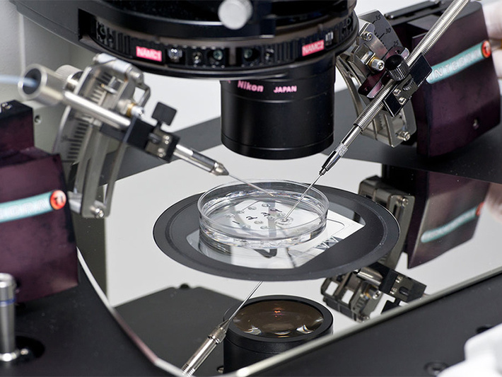 «Мать и дитя» откроет клинику ЭКО во Владимире