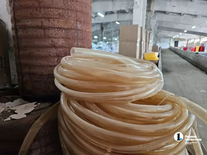 Фото #5 для новости «»