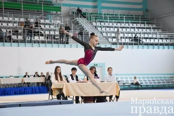 Картинка №4 для поста «В Марий Эл открыт центр спортивной гимнастики»