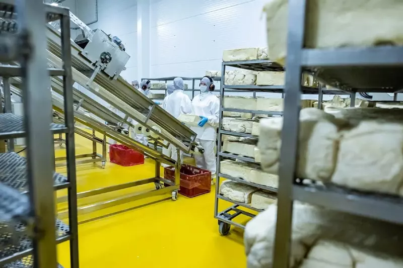 №4 для новости «иностранные инвестиции: В Багратионовском районе Калининградской области открыт сухарный завод»