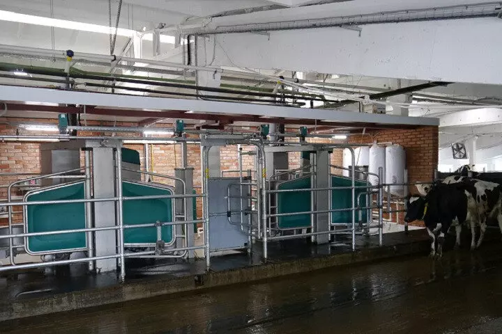 В Кировской области открыта роботизированная ферма