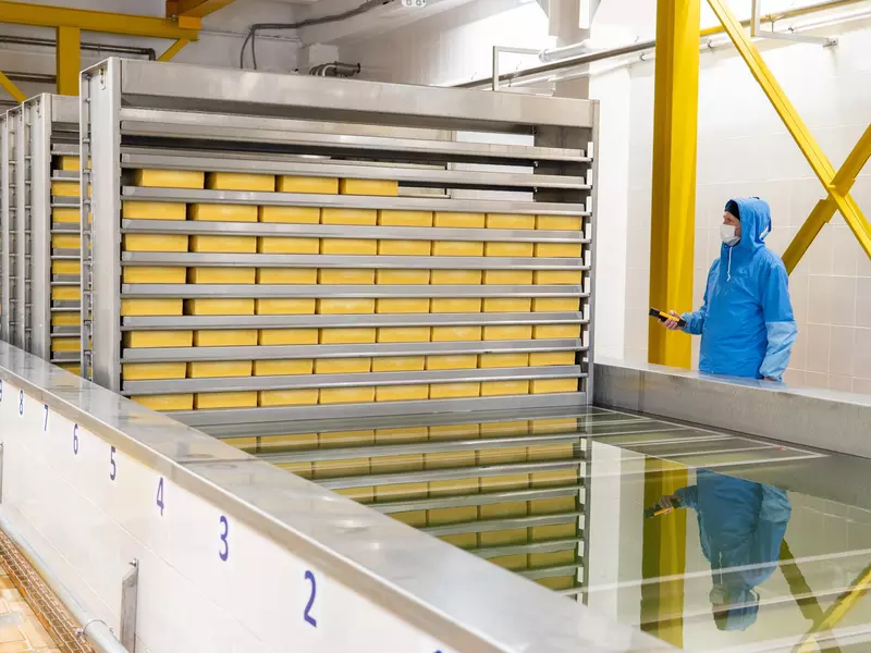 Сырзавод Агросилы в Татарстане запустил линию полутвёрдых сыров