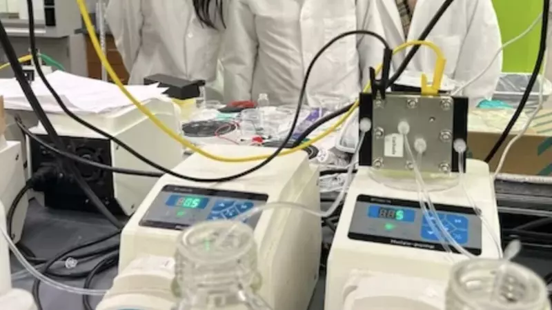 Ученые ГЕОХИ РАН получили патент на прорывную технологию получения лития