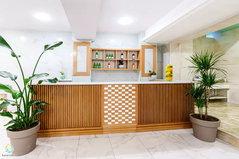 Картинка #12 для поста «В Ессентуках открылся новый санаторий»