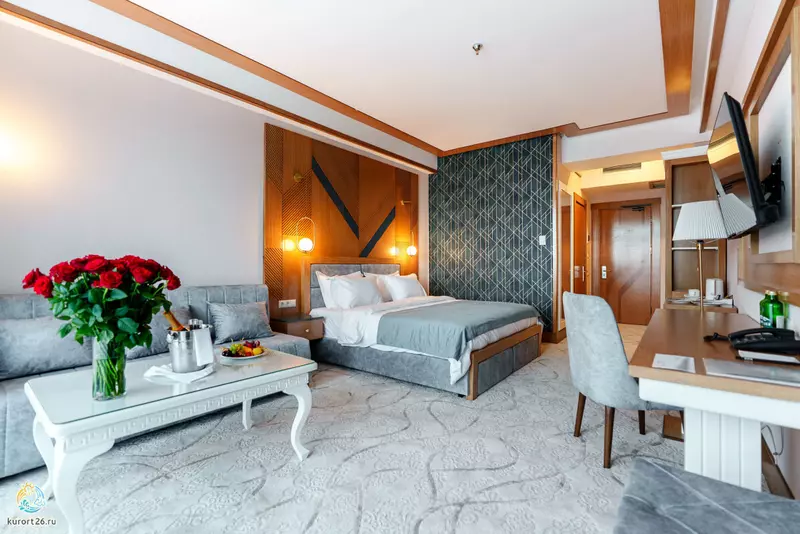 #5 для статьи «В Ессентуках открылся новый санаторий»