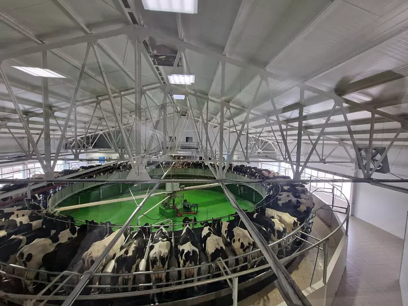 Молочный комплекс открыт в Челябинской области