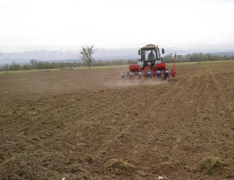 Дагестан увеличил площадь сева сельхозкультур на 12 тыс гектаров