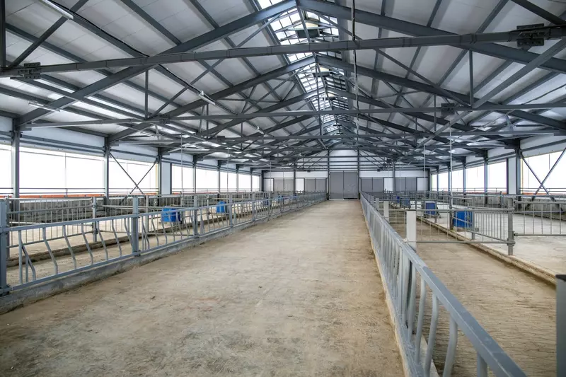 Иллюстрация 1 для статьи «Новые и модернизированные предприятия агропрома: Русская Нива открыла новые корпуса на молочном комплексе в Удмуртии»