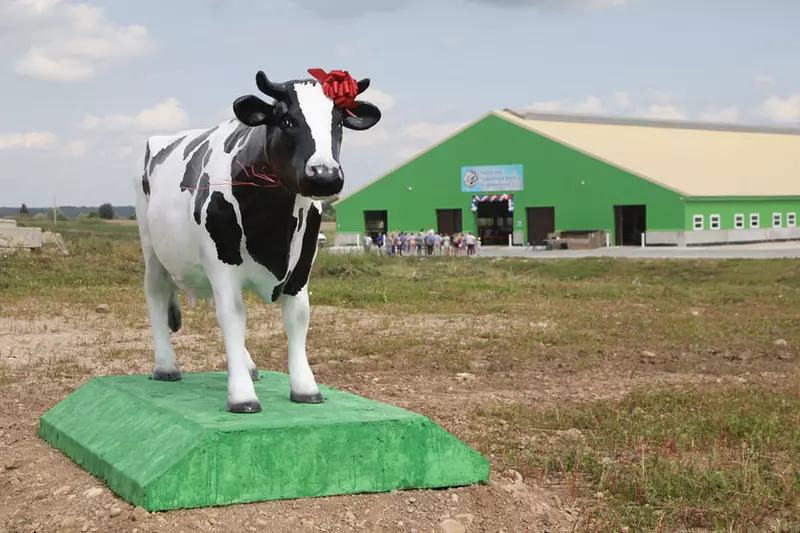 Иллюстрация №5 для публикации «В Тотемском округе Вологодской области открылась роботизированная молочная ферма»