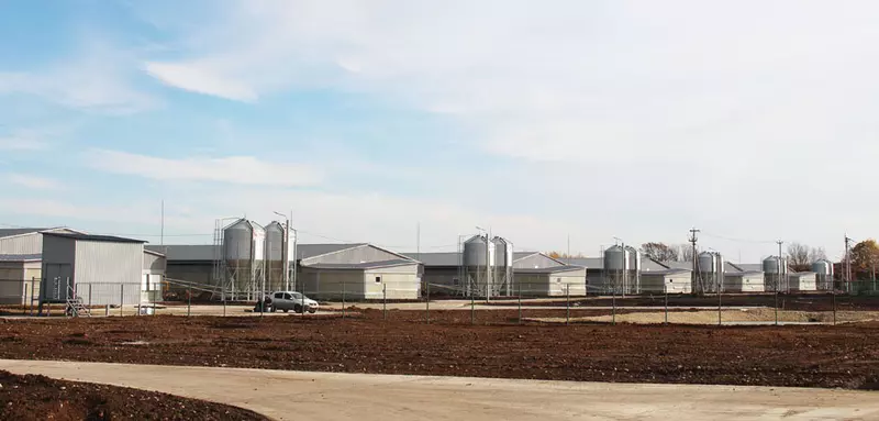 В Сараевском районе Рязанской области открыли свинокомплекс на 32 4 тыс