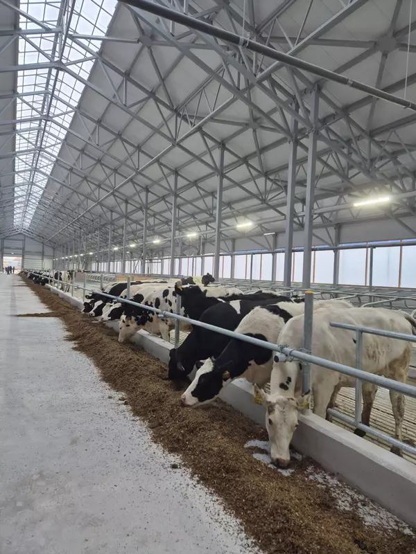 На племзаводе Дмитриево в Рязанской области запущен новый блок молочной фермы