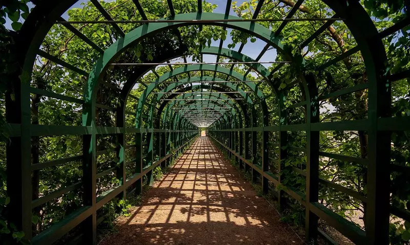 #3 для поста «Общество: После многолетней реставрации в Петергофе открылся Верхний сад»