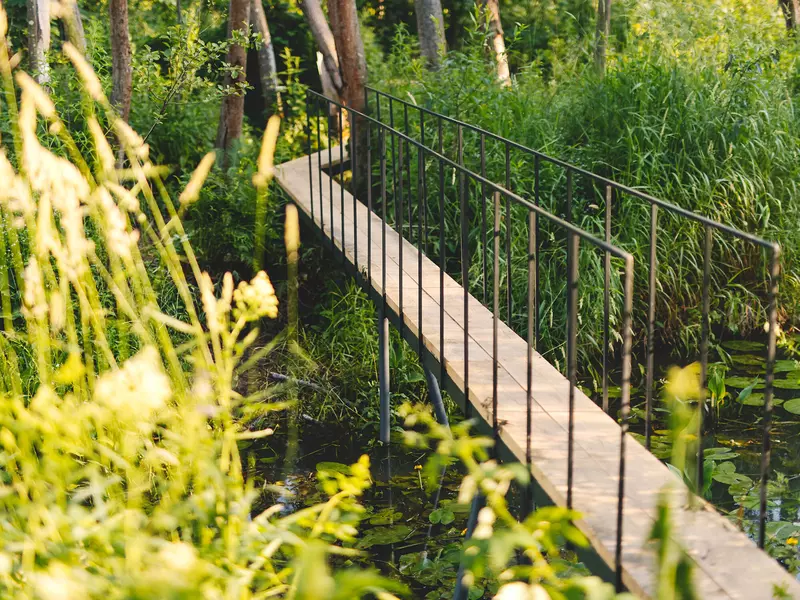 Фото #16 для «Новости благоустройства территорий»