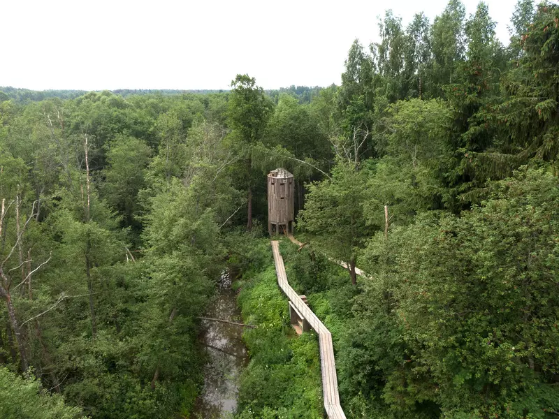 Картинка #17 для статьи «Новости благоустройства территорий»