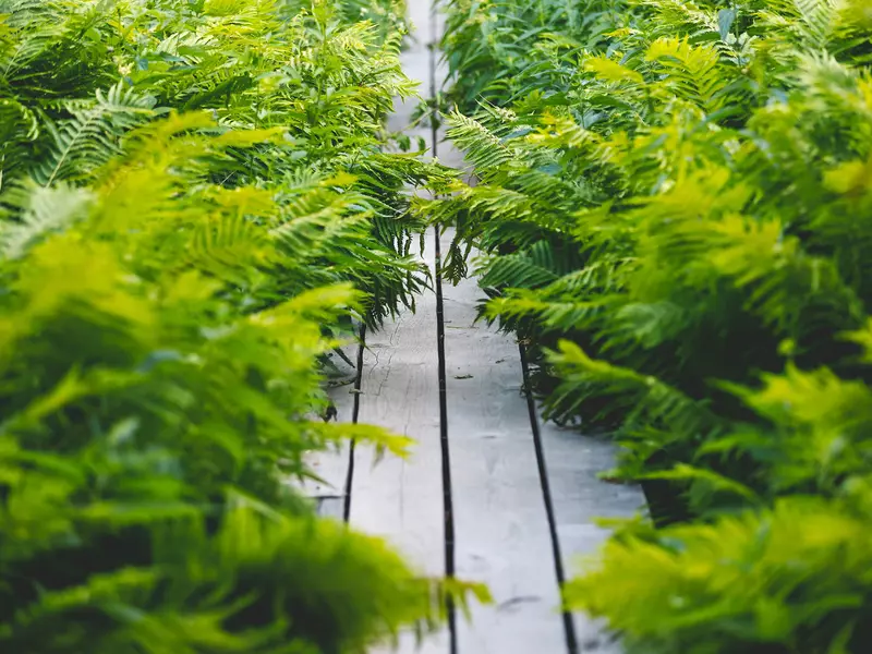 Фото 22 для новости «Новости благоустройства территорий»