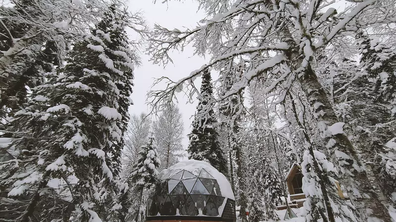 #37 для поста «Новости благоустройства территорий»