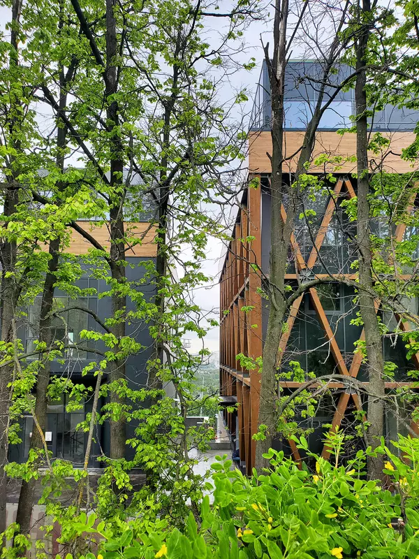 Картинка 64 для публикации «Новости благоустройства территорий»