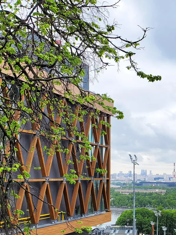 Картинка 65 для новости «Новости благоустройства территорий»