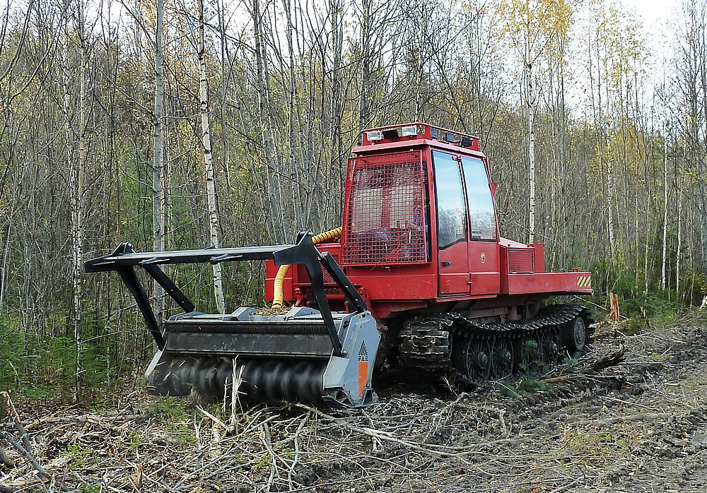 Лп 33 сучкорезная машина