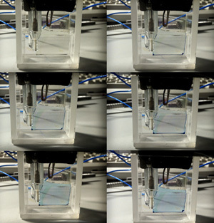 Стекло, покрытое проводящим индий-оловом оксидом с нанесённой тонкой плёнкой электрохромного поливиологена (основного рабочего вещества, разработанного умного окна). С приложением небольшого внешнего напряжения (0, 0.4, 0.5, 0.6, 0.8, 1.0 В) плёнка постепенно приобретает голубую окраску