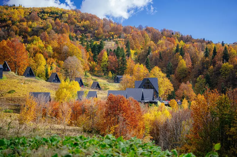 Картинка 94 для «Ежегодная премия за лучшее архитектурное сооружение из дерева»