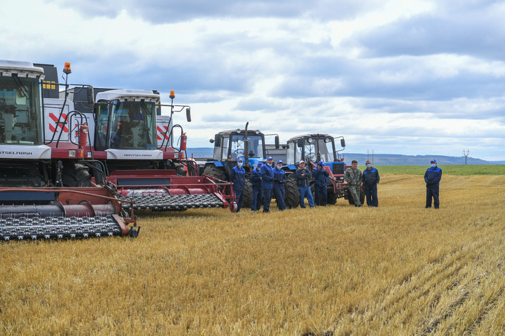 В Татарстане собран рекордный урожай зерновых за последние 12 лет