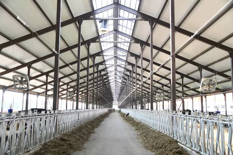 Фото 2 для поста «производство молока: В Кукморском районе Татарстана запущен новый молочный комплекс»