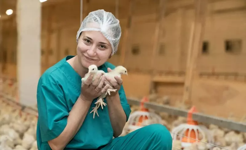 Импортозамещение