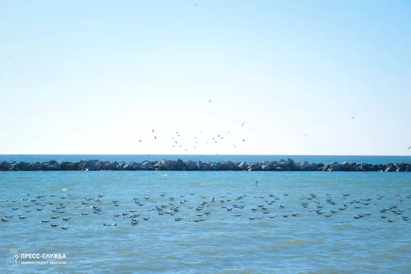 18 для статьи «Новости благоустройства территорий»