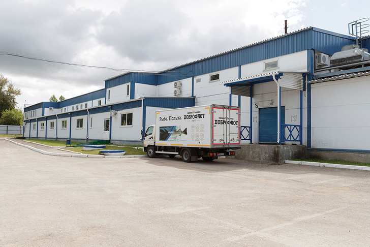 В Тульской области открыт восстановленный «Доброфлотом» завод по производству рыбного филе