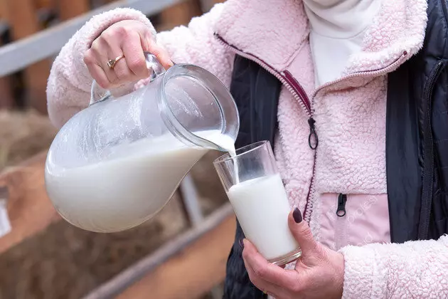 Иллюстрация №3 для публикации «производство молока: Во Владимирской области на новой ферме разводят овец молочной породы»