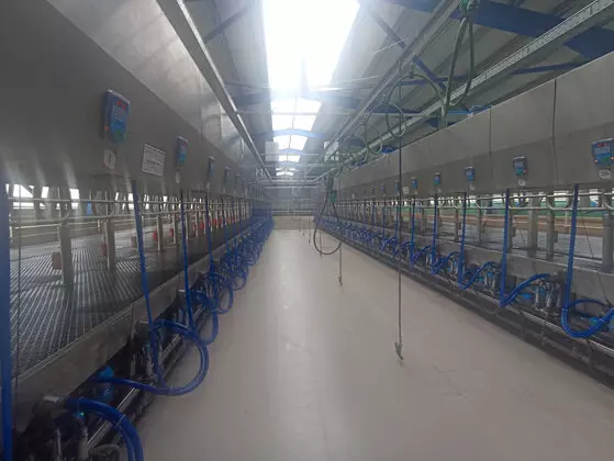 Иллюстрация №3 для статьи «животноводство: В Суздальском районе Владимирской области открыт новый молочный комплекс»