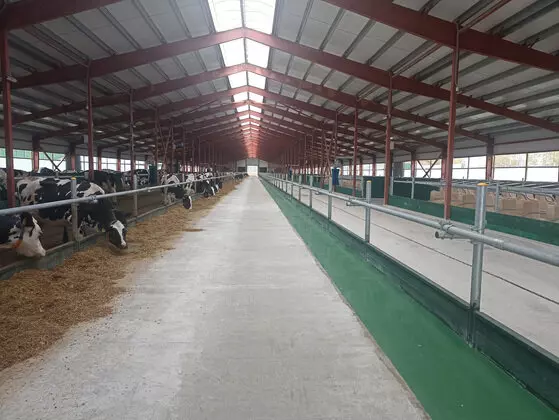 Иллюстрация 4 для статьи «племзавод Нива: В Суздальском районе Владимирской области открыт новый молочный комплекс»