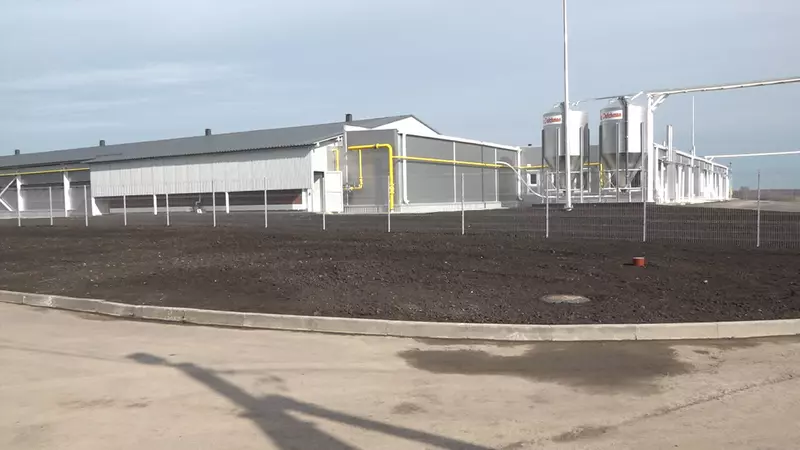 #5 для новости «Новые предприятия АПК и пищевой промышленности в апреле 2025 года»