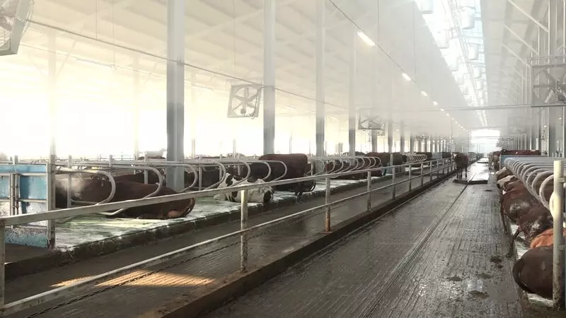 Новый молочный комплекс открылся в Саракташском районе Оренбургской области