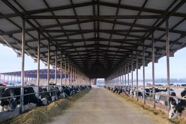 Изображение #2 для поста «производство молока: В Волгоградской области построен крупнейший в стране молочный комплекс»