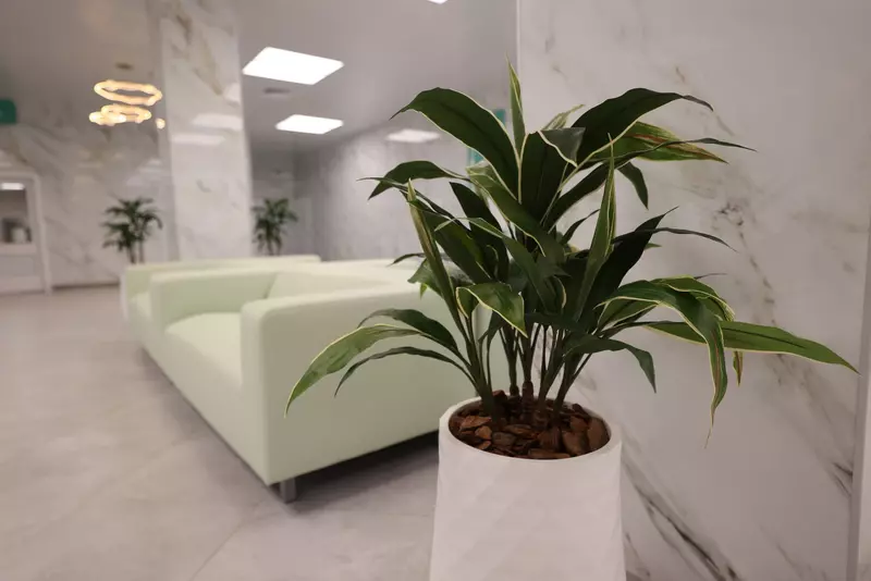 2 для статьи «ДНР: Открыты новый медцентр ФМБА в Мариуполе и центр в Донецке после реконструкции»