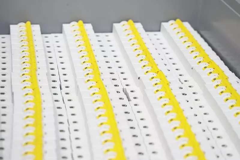 photo_5316997924669558109_y