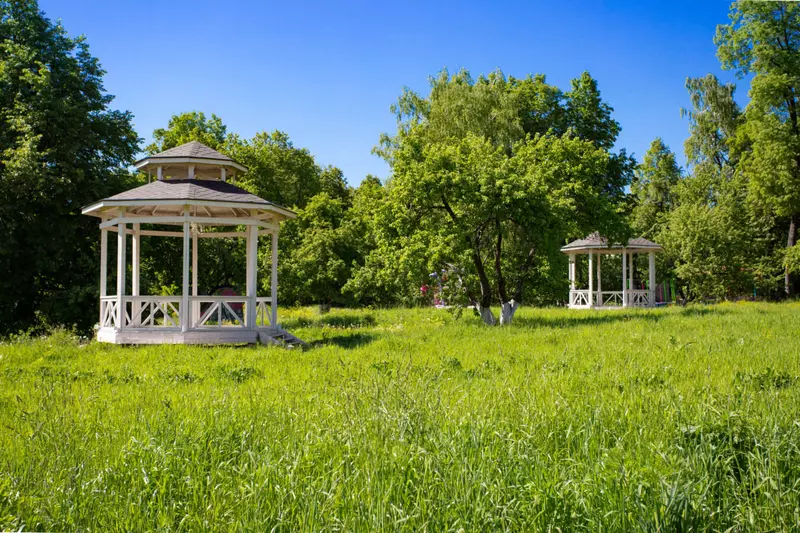 Картинка №11 для статьи «Усадьба Гребнево Изменения за последние 5 лет и фото до и после»