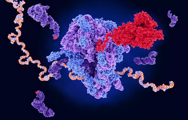 Нанопочту для лекарств создали в Сеченовском университете