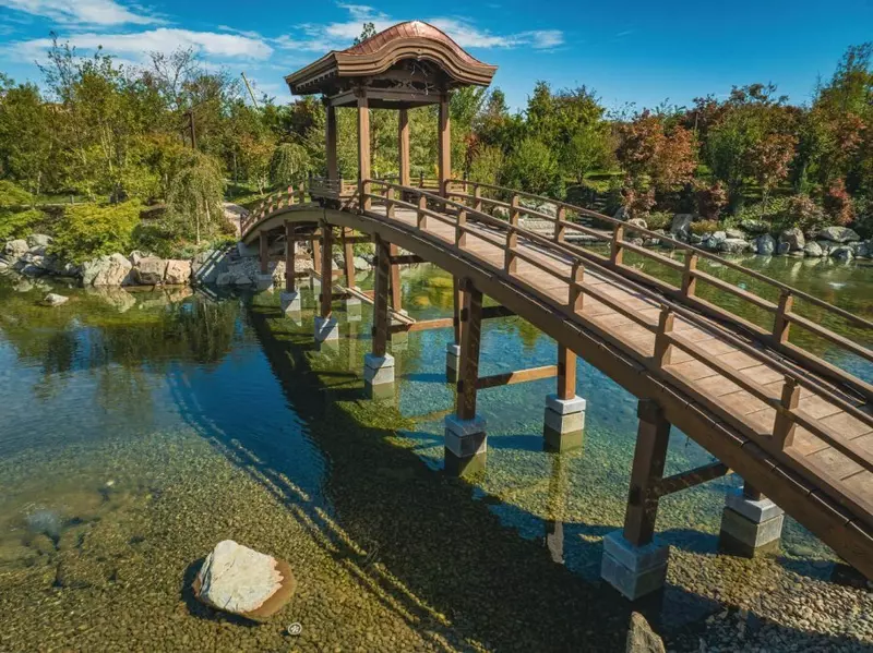 Картинка №82 для поста «Новости благоустройства территорий»