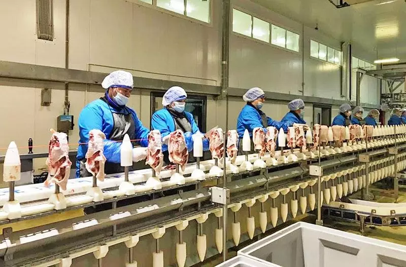 Новое оборудование новые возможности Дамате расширяет производство утиного мяса