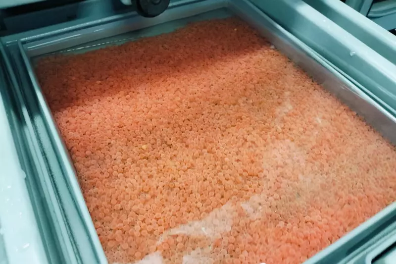 В Карелии открыли новое производство посадочного материала форели