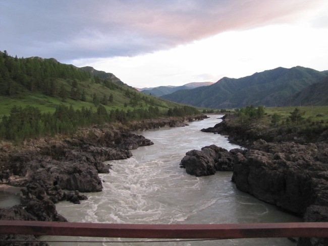 Вид с Ороктойского моста. По высоте взрослых сосен можно судить о высоте берегов и ширине реки.