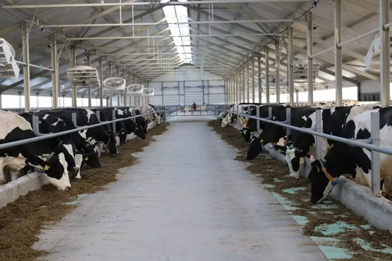 В Чувашии открыли новый животноводческий корпус