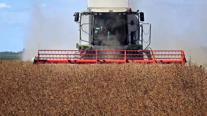 В новых регионах в 2023 году собрано 4 8 млн тонн зерна