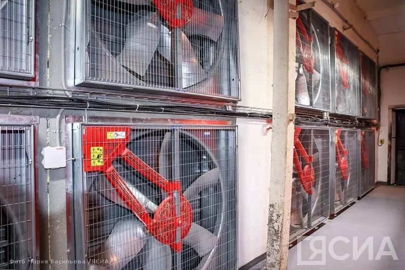 Иллюстрация №2 для публикации «птицеводство: Модернизированный цех открылся на Якутской птицефабрике»