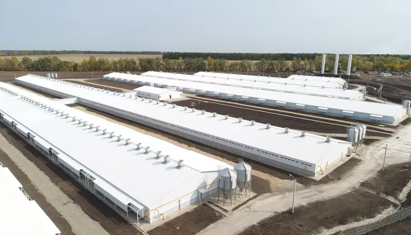 В Тульской области открыли новый свиноводческий комплекс Степной